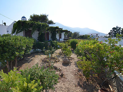 Ο κήπος στα στούντιος Νικολέτα