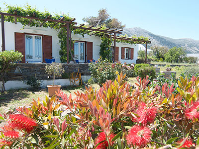 Ο κήπος στα στούντιος Νικολέτα