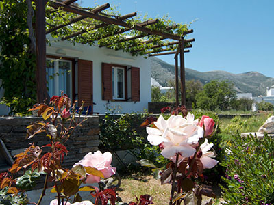 Ο κήπος στα στούντιος Νικολέτα