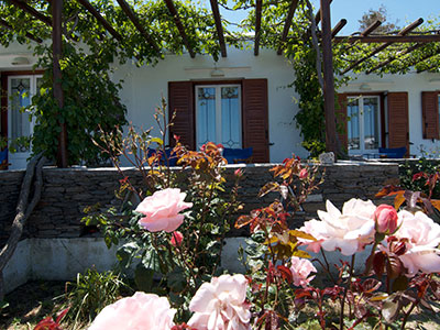 Στούντιος Νικολέτα στη Σίφνο